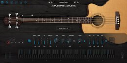 Ample Bass Acoustic | Winter Sale