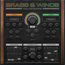 Analog Empire: Brass and Winds