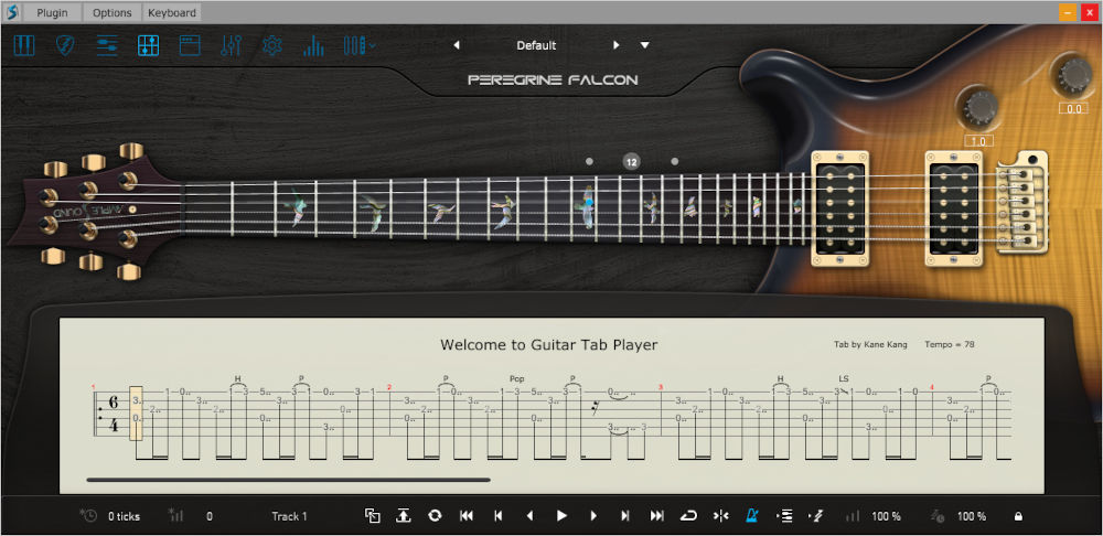 Ample Guitar Peregrine Falcon - UI 4