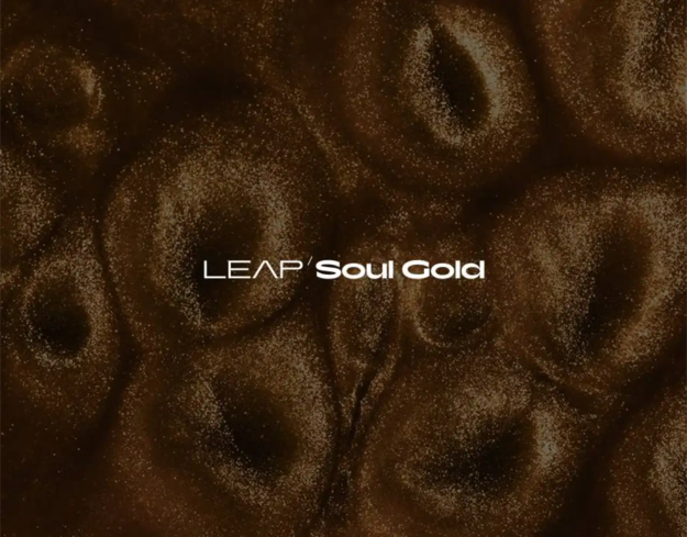 Leap Expansion – Soul Gold screenshot