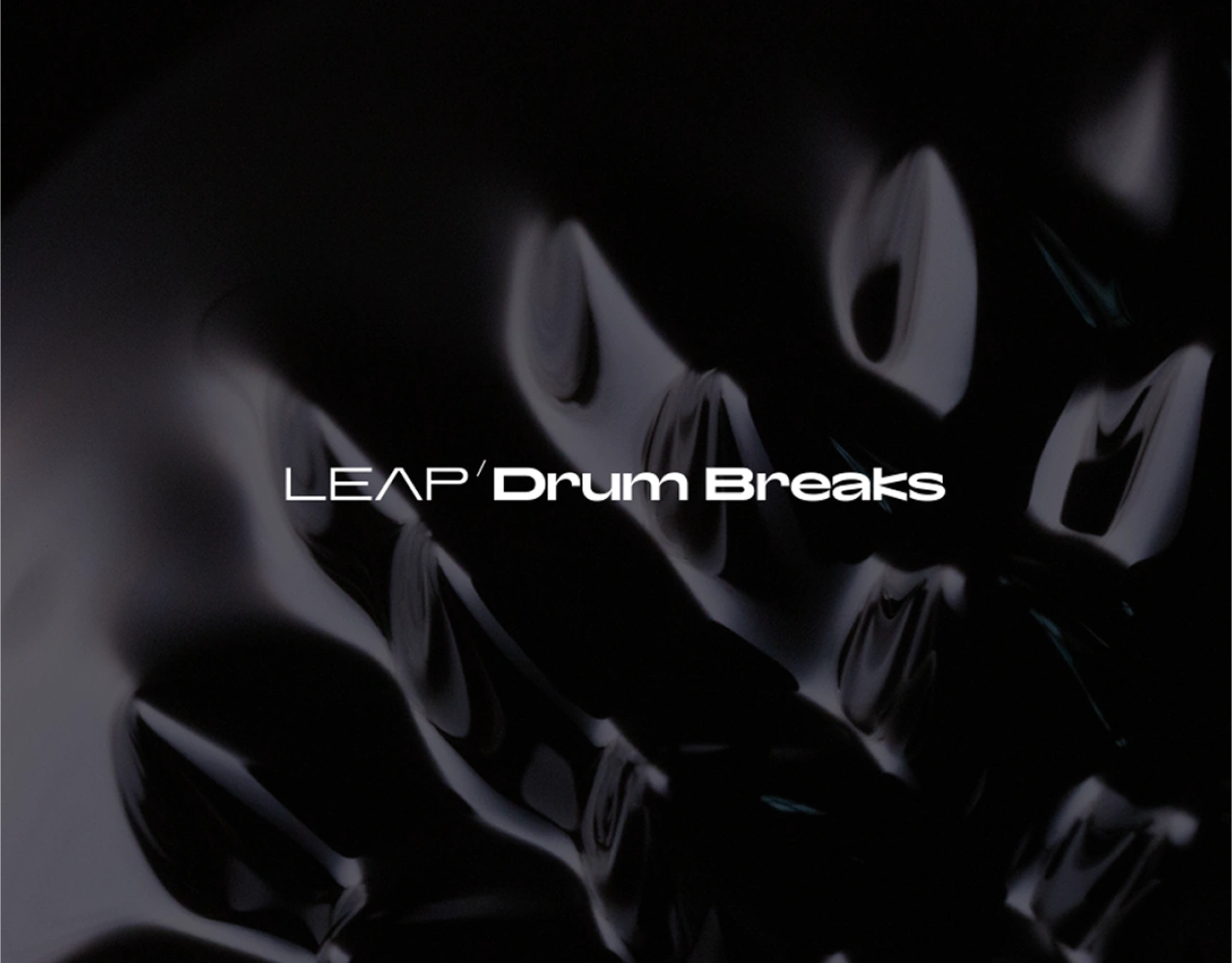 Native Instruments Leap Expansion - Drum Breaks