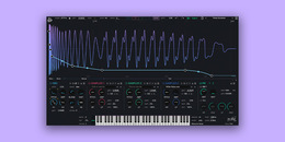 Kick Ninja | Boutique Week Sale