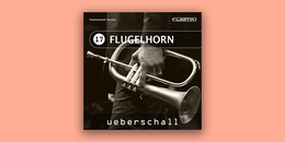 Flugelhorn | Ultimate Sale