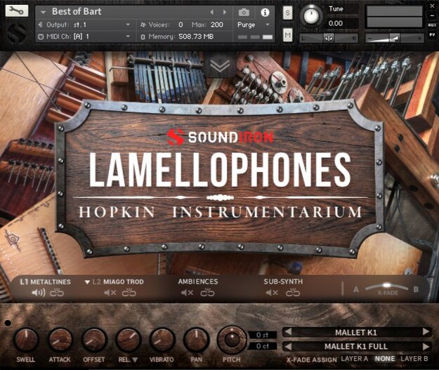 Lamellophones
