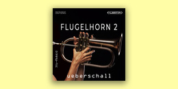 Flugelhorn 2 | Ultimate Sale