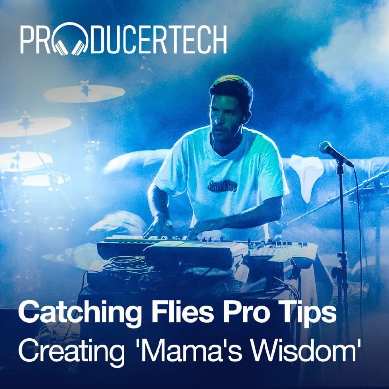 Catching Flies Pro Tips - Creating 'Mama's Wisdom'