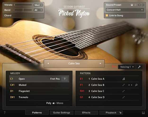 Session Guitarist – Picked Nylon screenshot