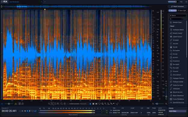 45. iZotope RX 12 Standard