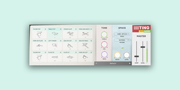 Ting | Black Friday Sale