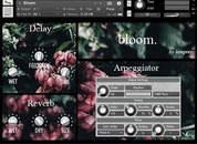 Bloom | January Sale