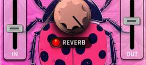 LadyBug Reverb