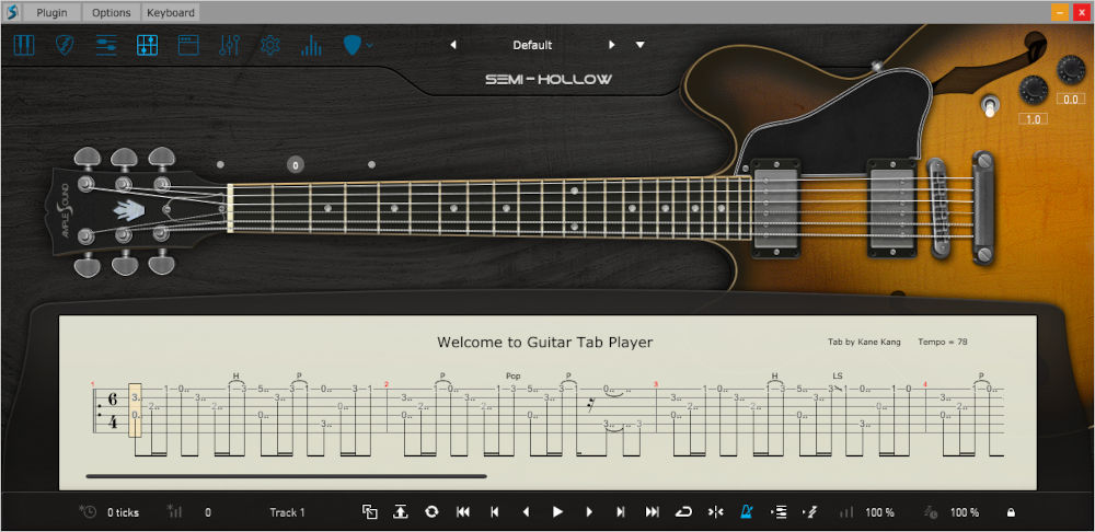 Ample Guitar Semi Hollow - UI 4
