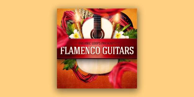 Flamenco Guitars