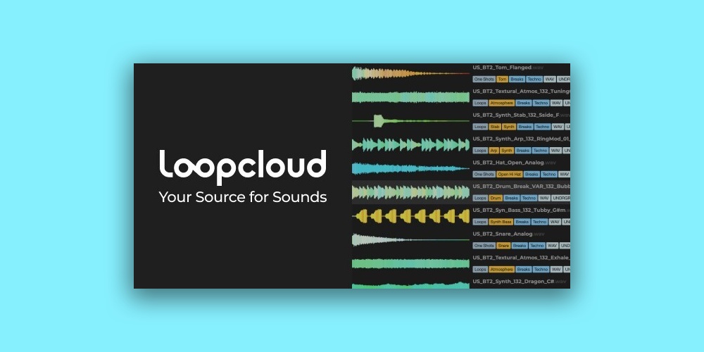 Loopcloud 12 Month Artist Plan