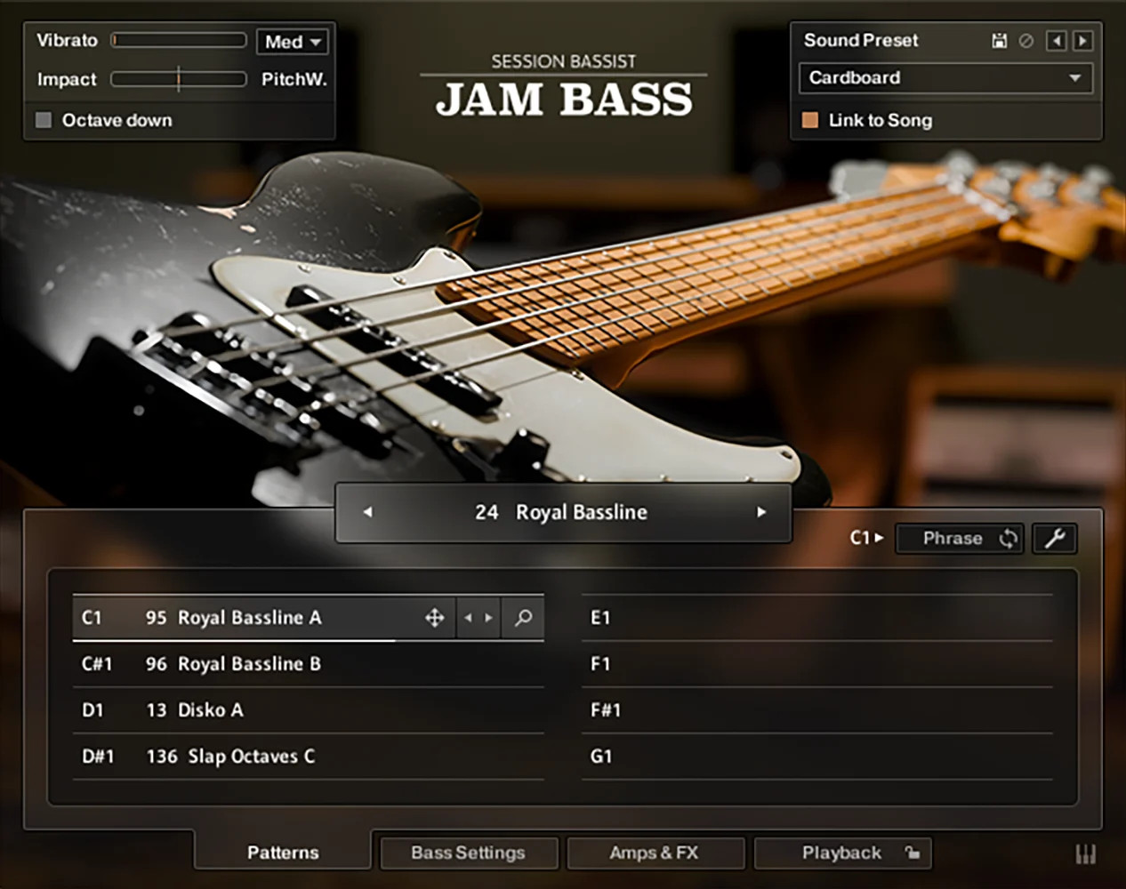 Native Instruments Session Bassist - Jam Bass - Image 1