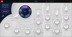 InTune-Chorus | Black Friday Sale