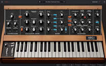 Mini V | Winter Sale