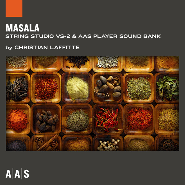Masala String Studio VS-2 Sound Bank - Main Image
