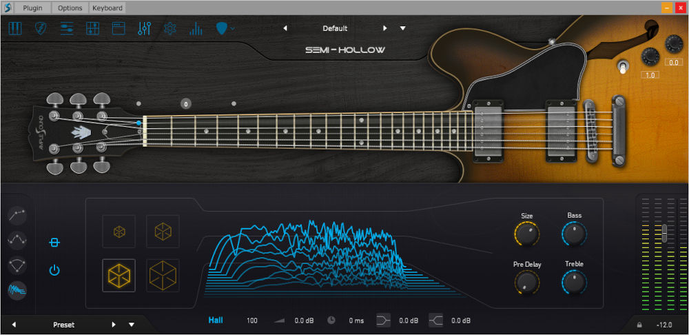 Ample Guitar Semi Hollow - UI 8