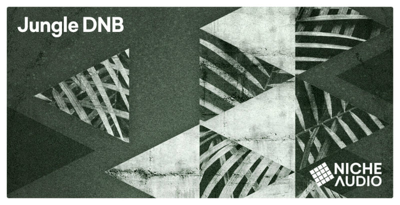 Jungle DNB Main Image