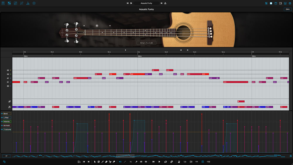 Ample Bass Acoustic - UI 5