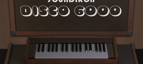 Disco 6000 | Spring Sale