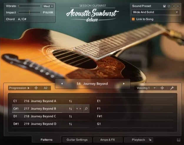 Session Guitarist – Acoustic Sunburst Deluxe screenshot