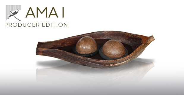 The Amazonic AMA I Producer Edition