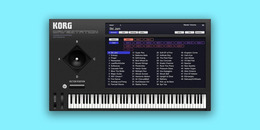 WAVESTATION | Collection 6 Intro Sale