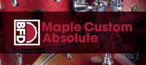 BFD Maple Custom Absolute