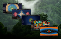 Portals Bundle | Nagual Intro Sale