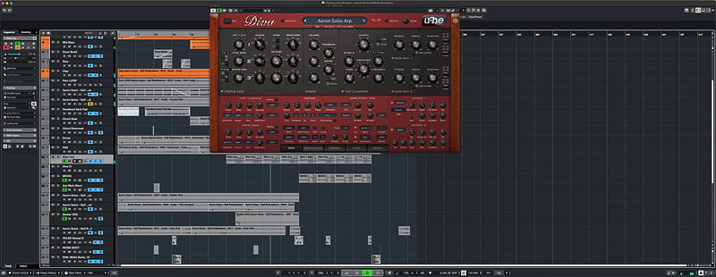 Aaron Suiss Diva Patch Banner 2