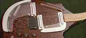 Electric Sitar | Summer Sale