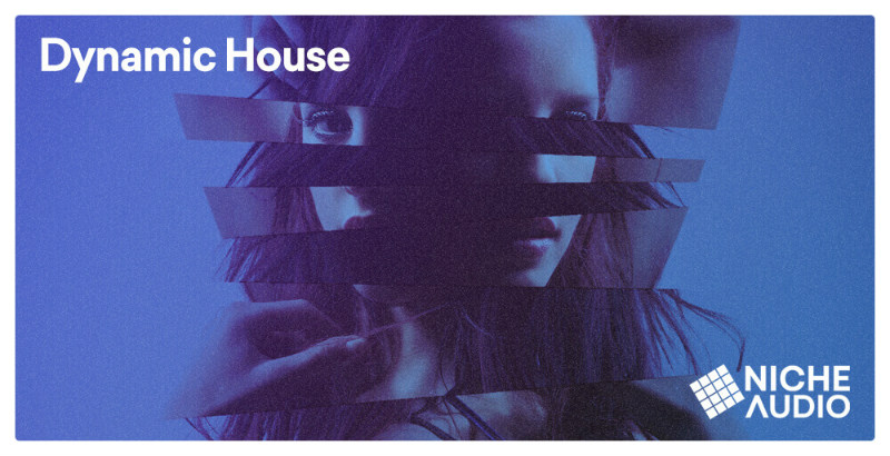 Dynamic House - Main Image