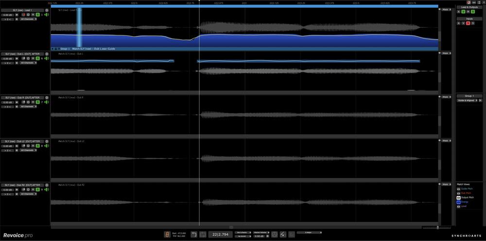 Synchro Arts Revoice Pro 5 - UI 4