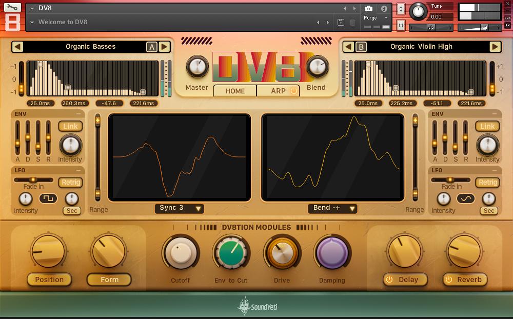 Sound Yeti DV8 - Form View