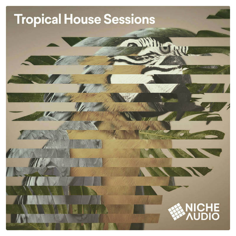Tropical House Sessions