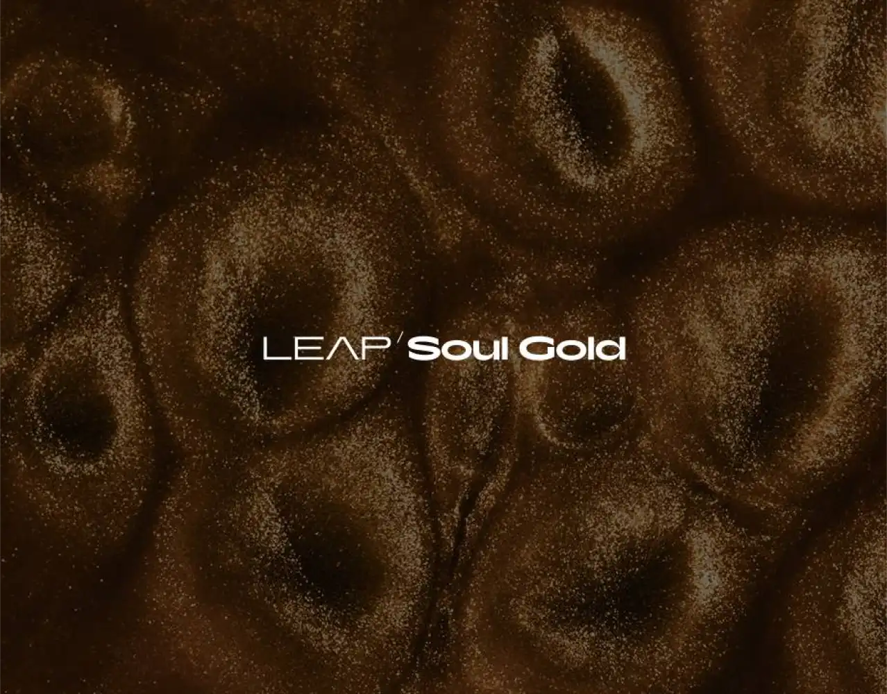 Native Instruments Leap Expansion - Soul Gold