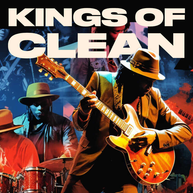 Two Notes Audio Engineering DynIR Cabinet Collection | Kings of Clean