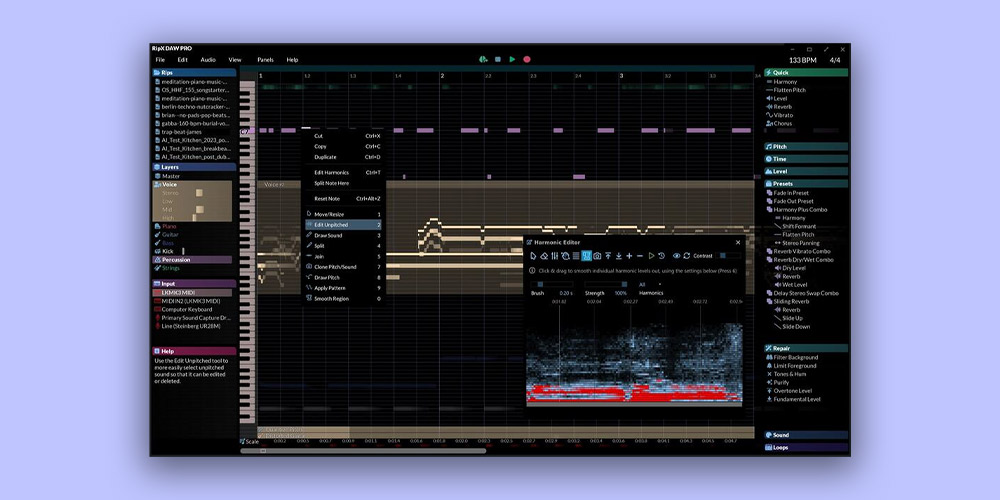 Hit'N'Mix RipX Pro DAW