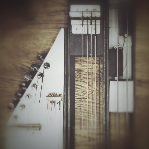 SYMPHONIC: Gambastard for Ableton Live interface