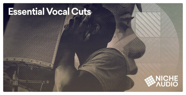 Essential Vocal Cuts interface