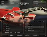 Session Guitarist - Electric Ruby Deluxe