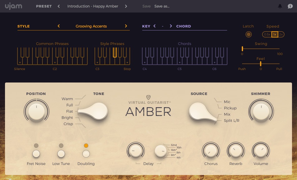 AMBER User Interface