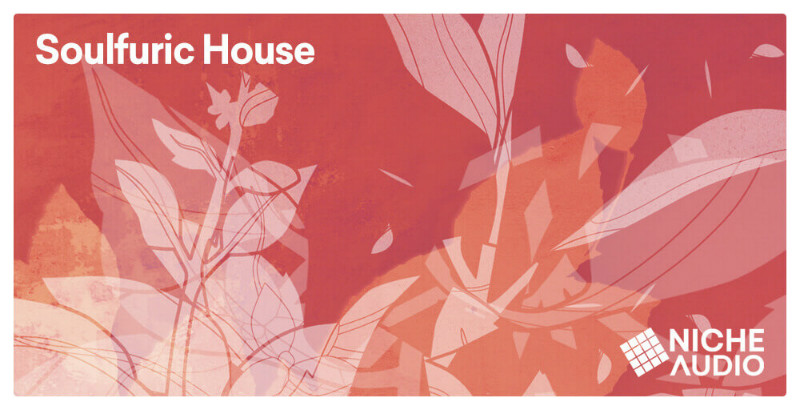 Soulfuric House - Main Image