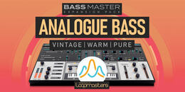Bass Master Expansion Pack: Analogue Bass