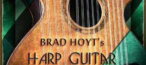 Brad Hoyt's Harp Guitar | Spring Sale