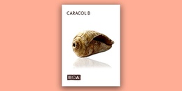Caracol B | Black Friday Early Access Sale