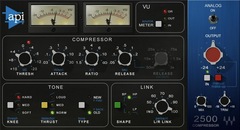 API 2500