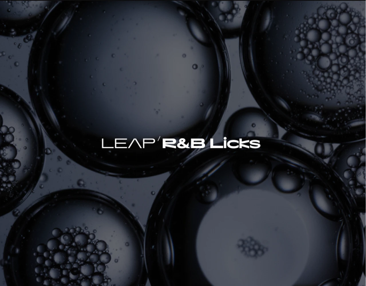Native Instruments Leap Expansion - RnB Licks